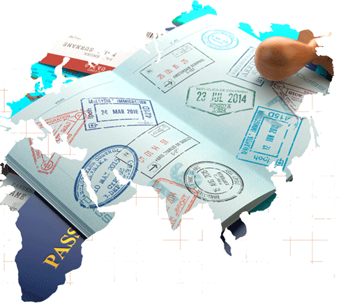 picup-visa